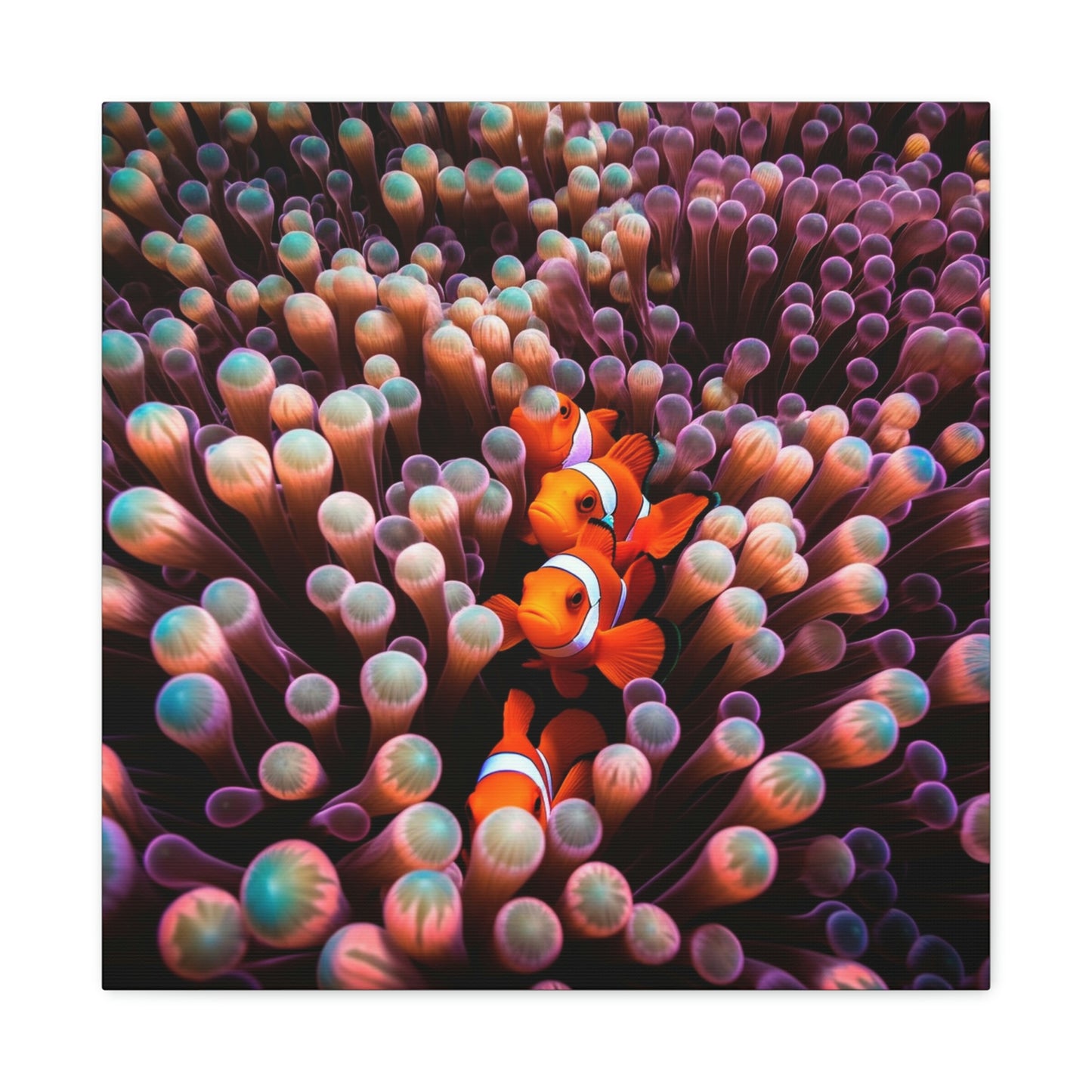 Canvas Gallery Wraps Clown Fish 3