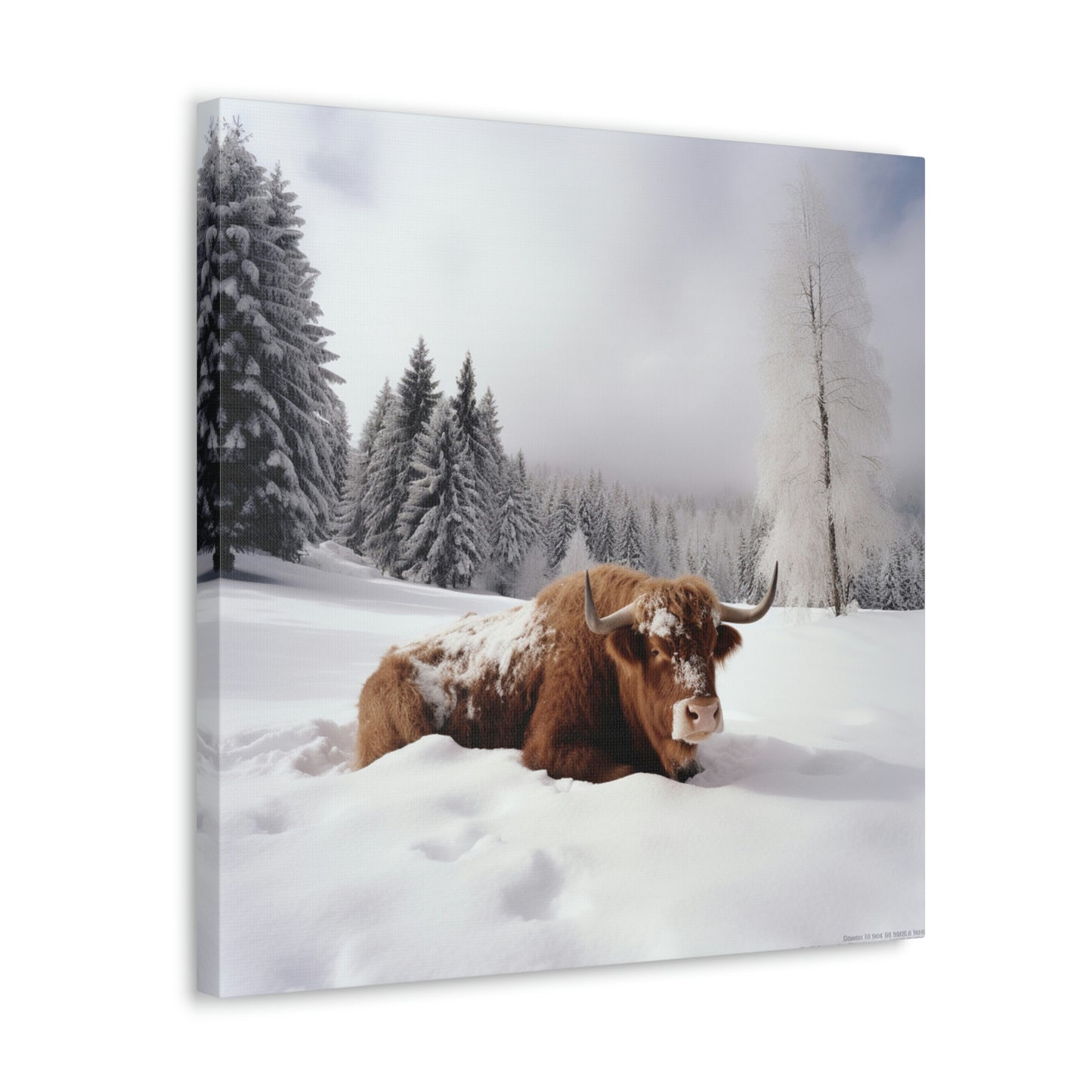 Canvas Gallery Wraps Cow Snow 2