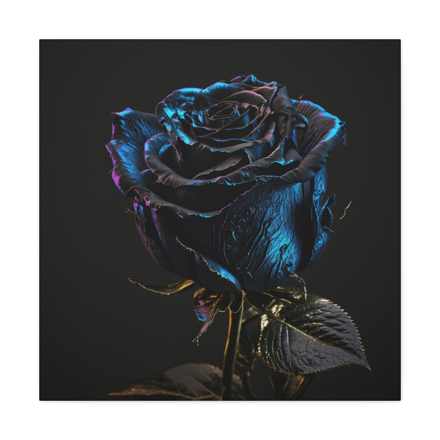 Black Blue Rose 1