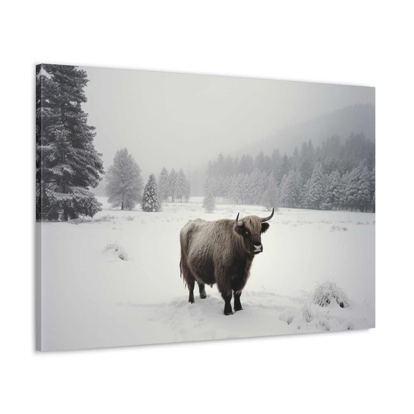 Canvas Gallery Wraps Cow Snow 4