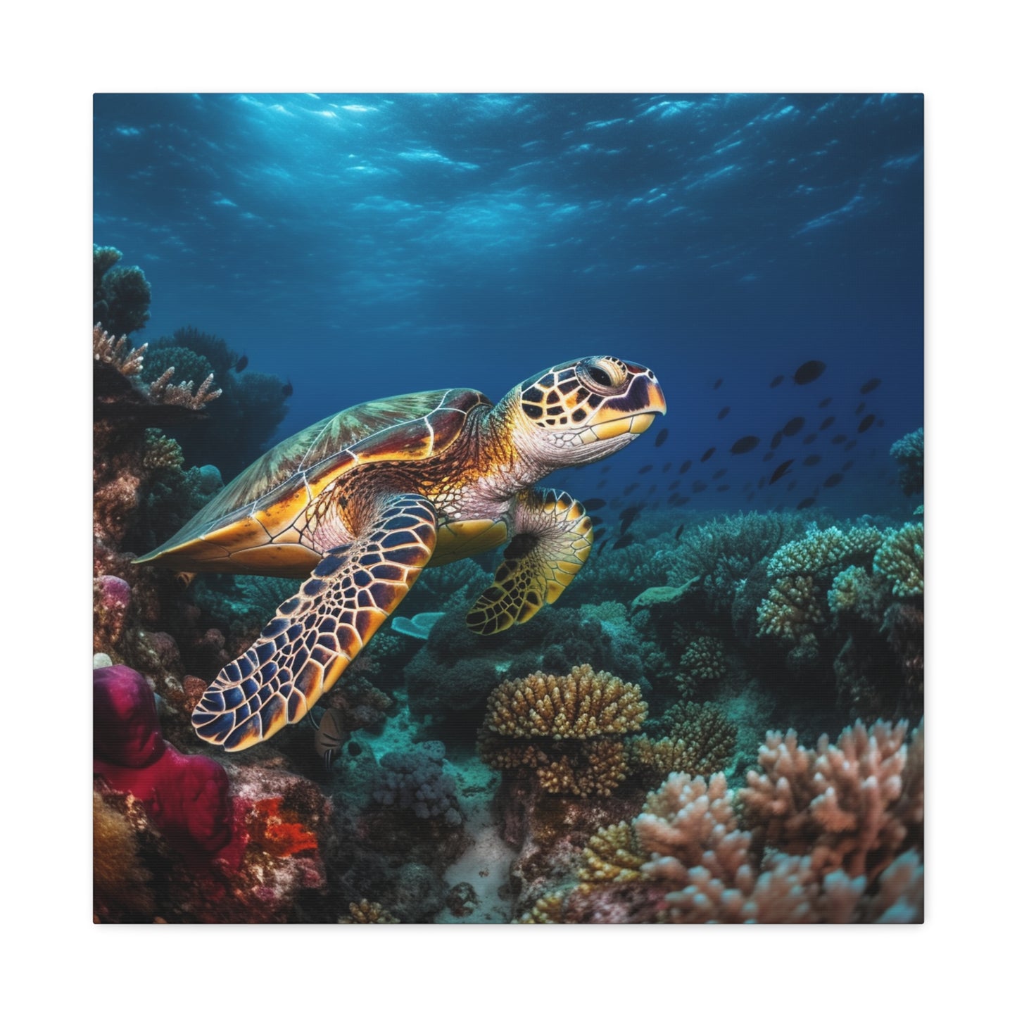 Sea Turtle Reef 1