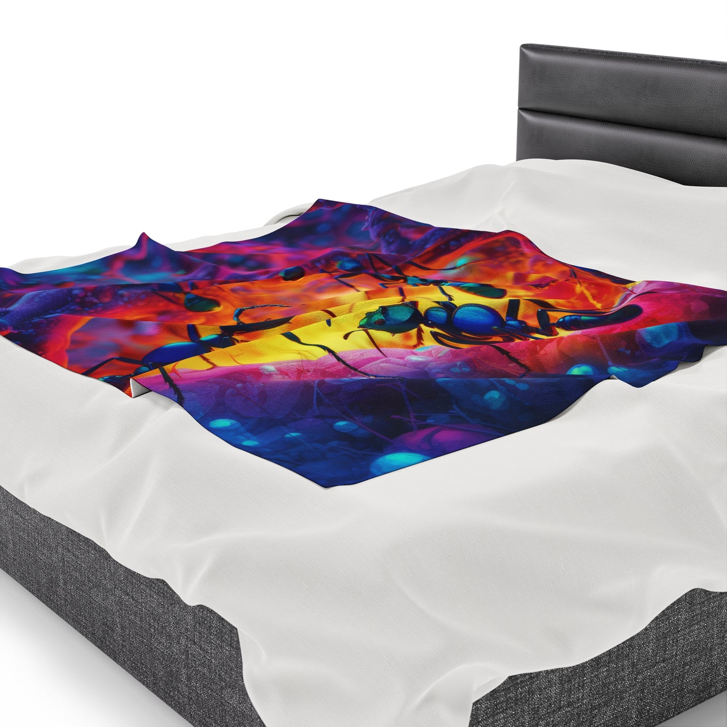 Velveteen Plush Blanket Ants Home 3