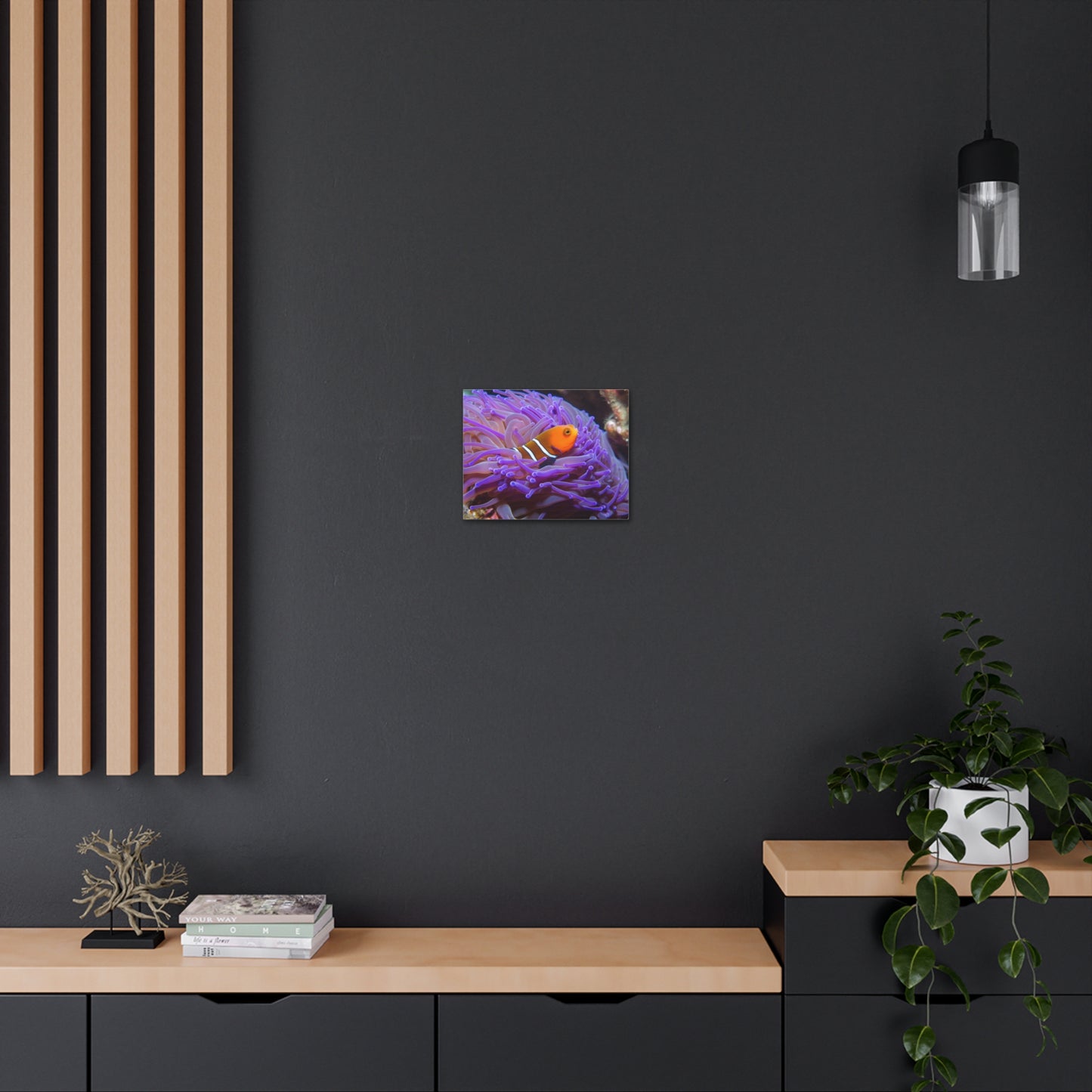 Canvas Gallery Wraps Anemone Clown 3