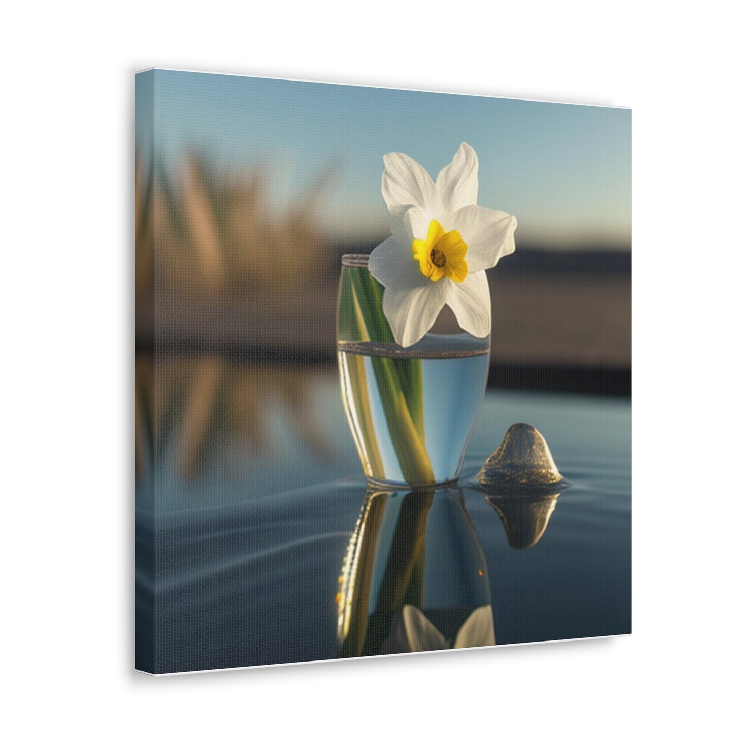 Canvas Gallery Wraps Daffodil 4