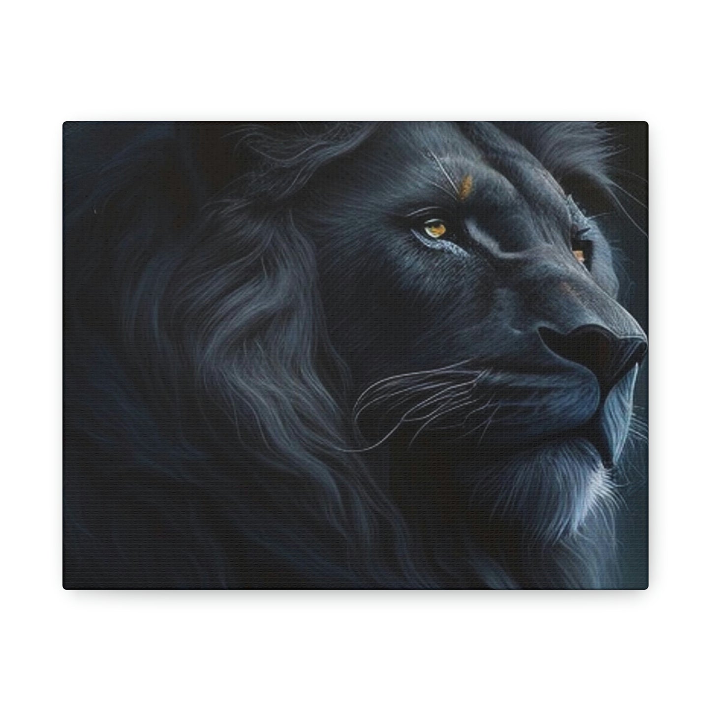 Lion Black 4