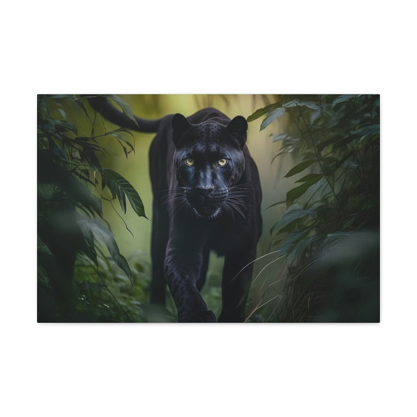 Black Panther walking