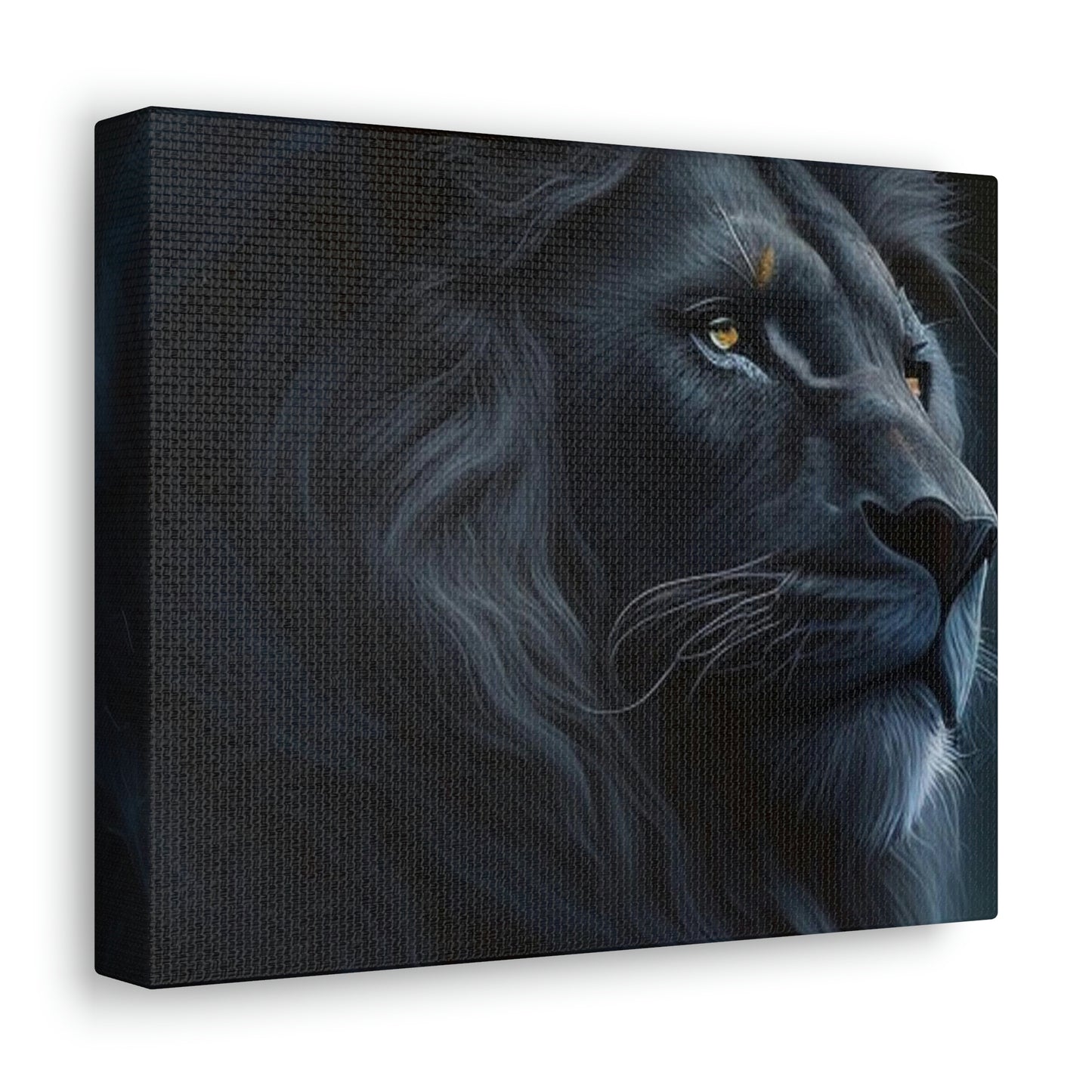 Lion Black 4