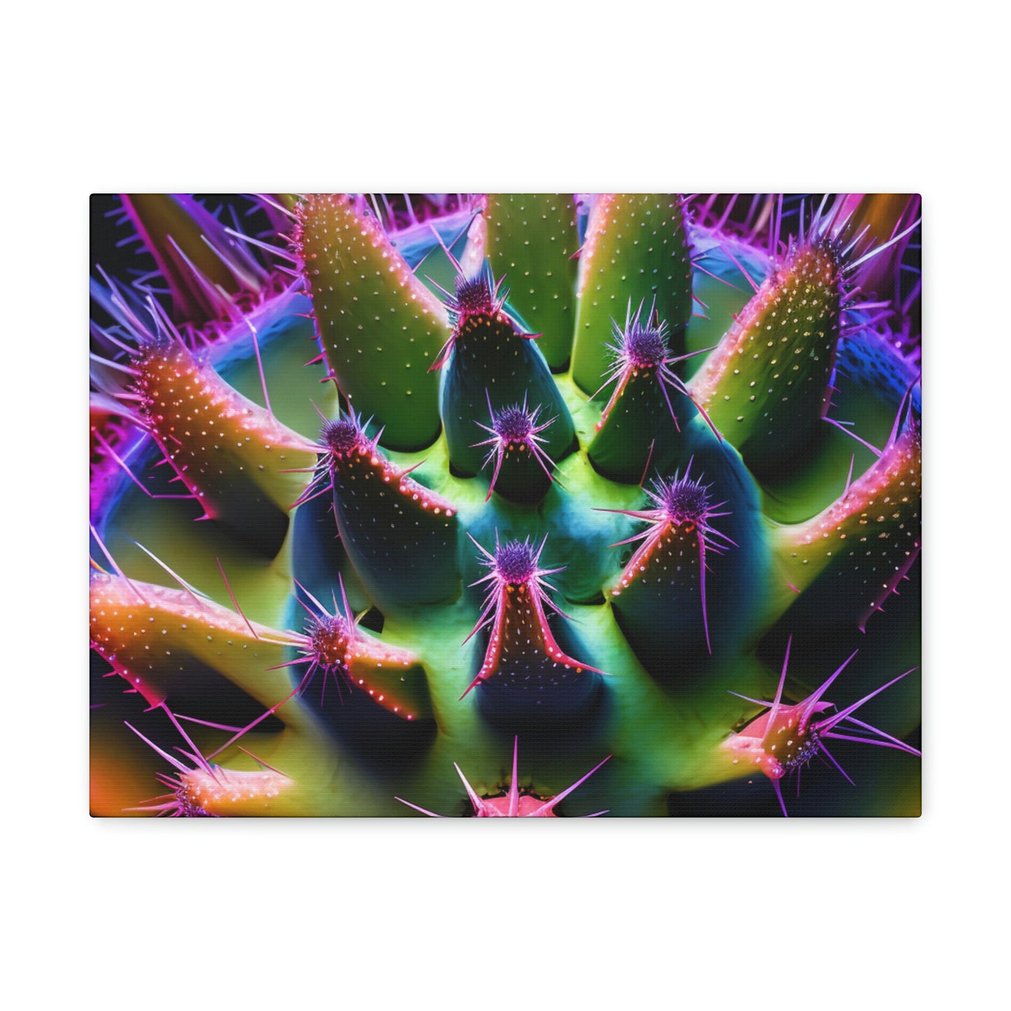 Macro Cactus 5