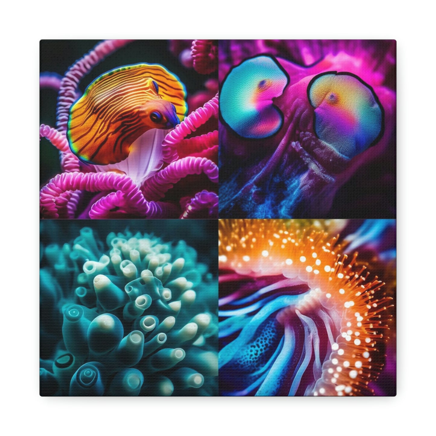 Canvas Gallery Wraps Ocean Anemone 1