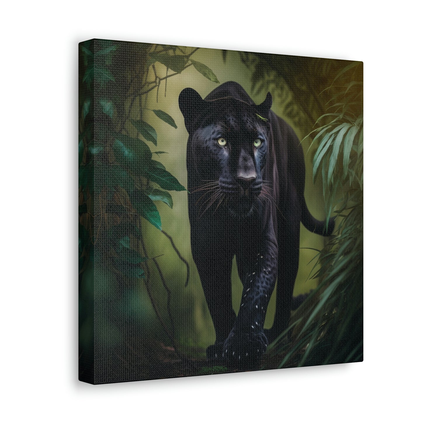 Black Panther in the Jungle 5