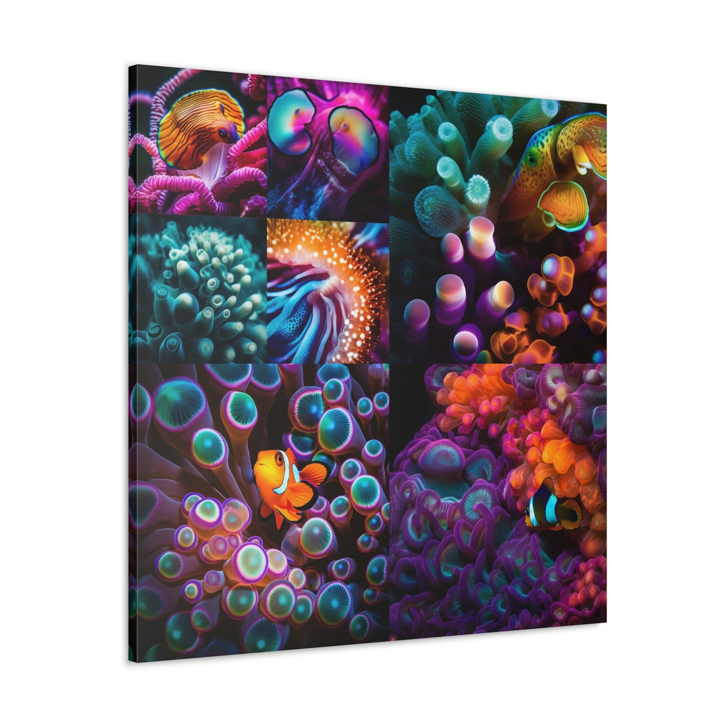 Canvas Gallery Wraps Ocean Anemone 4 Pack