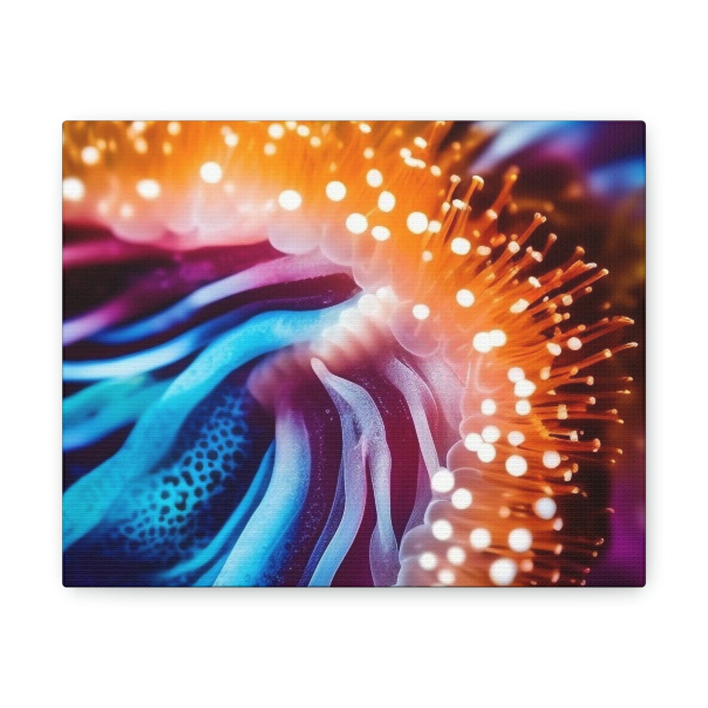 Canvas Gallery Wraps Ocean Anemone 1.4