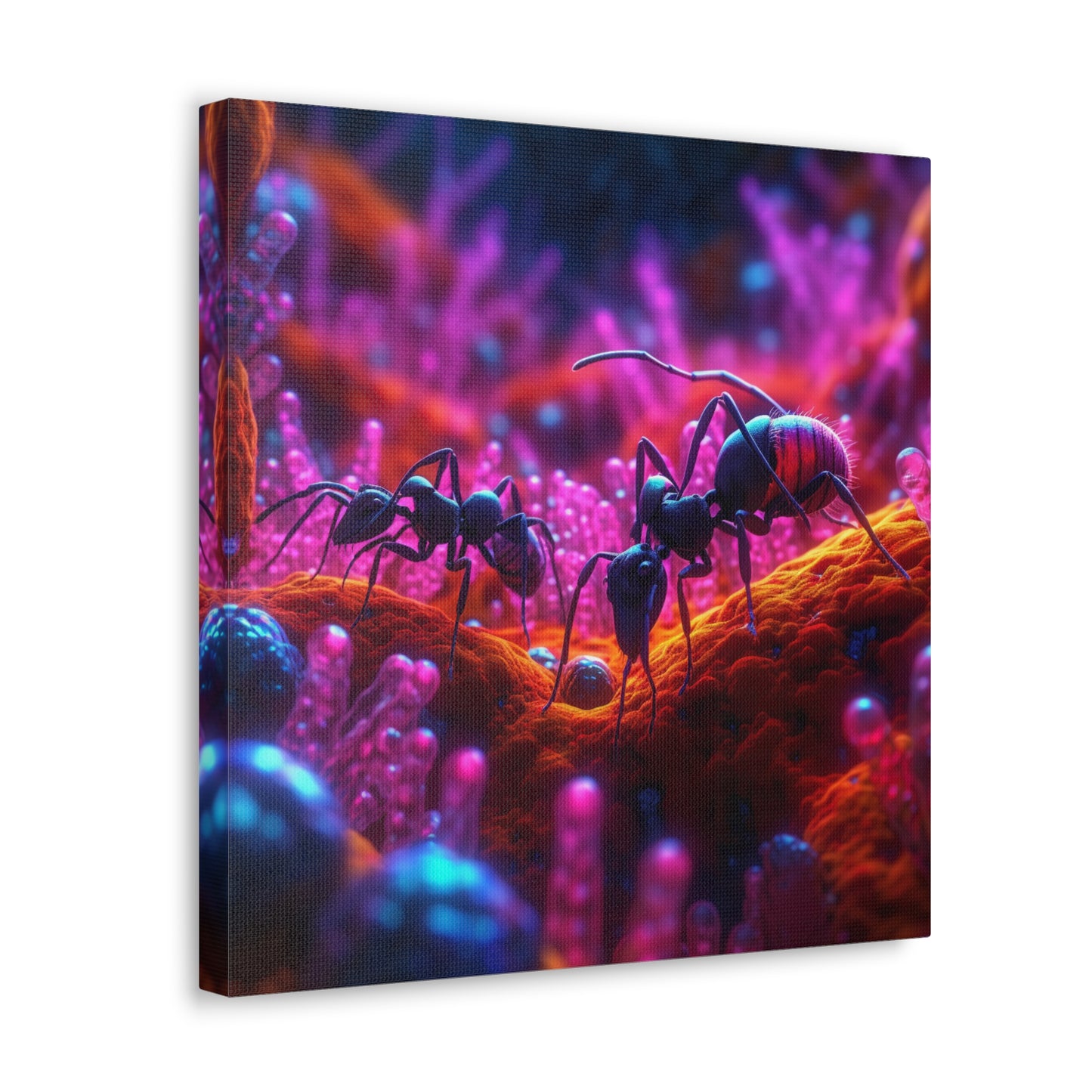 Canvas Gallery Wraps Ants Home 4