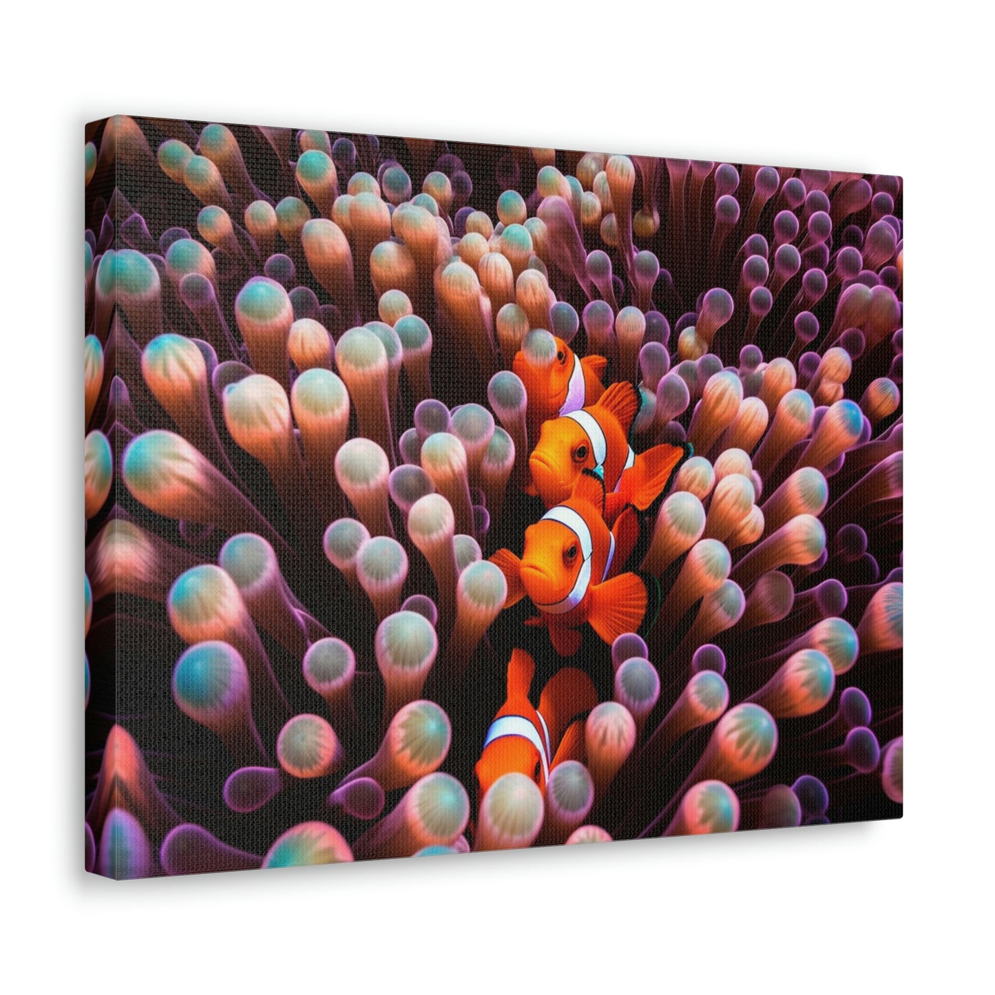 Canvas Gallery Wraps Clown Fish 3