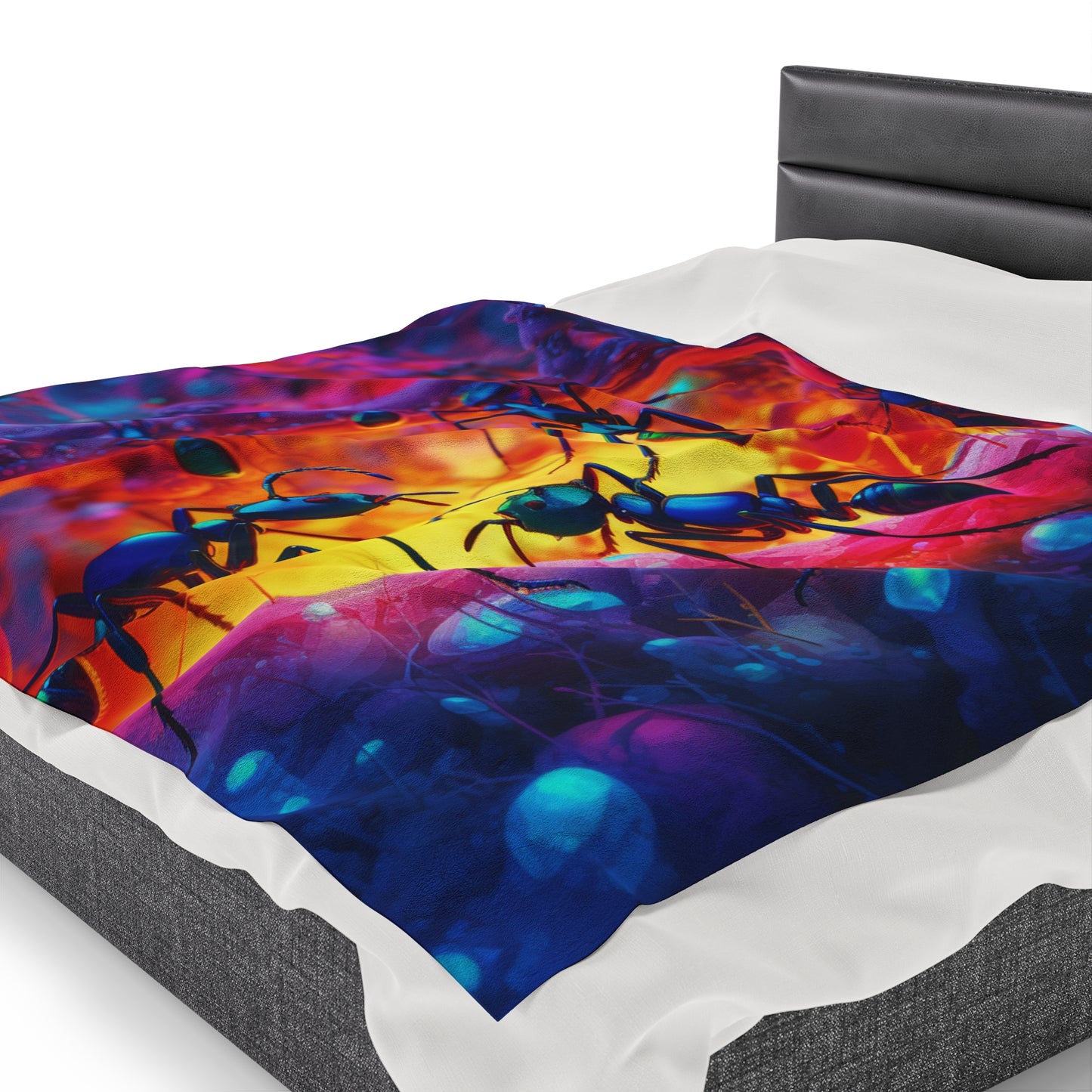 Velveteen Plush Blanket Ants Home 3