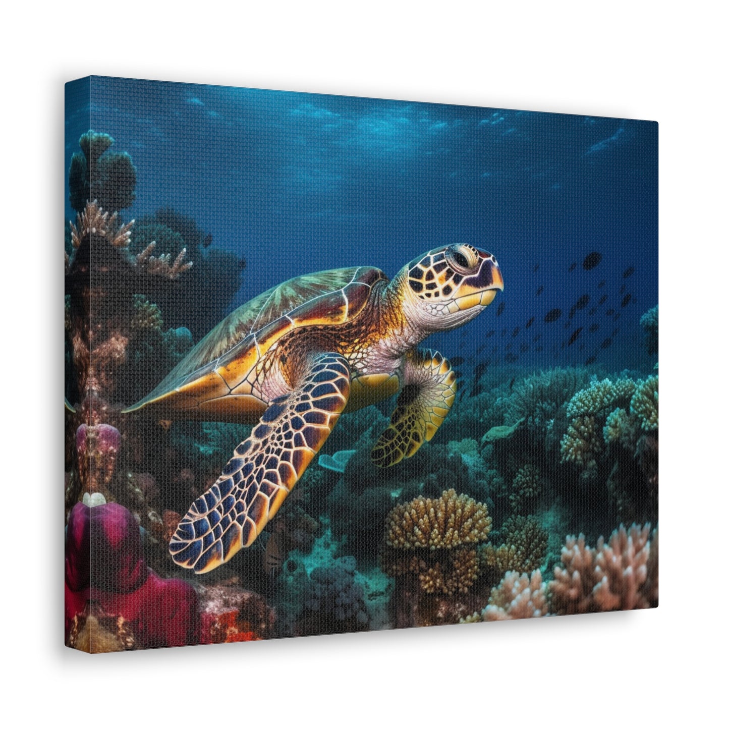 Sea Turtle Reef 1