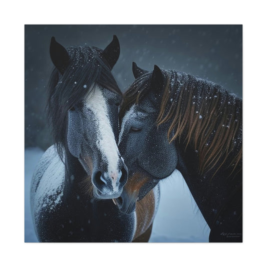 Canvas Gallery Wraps Snow Horses Lovers 2