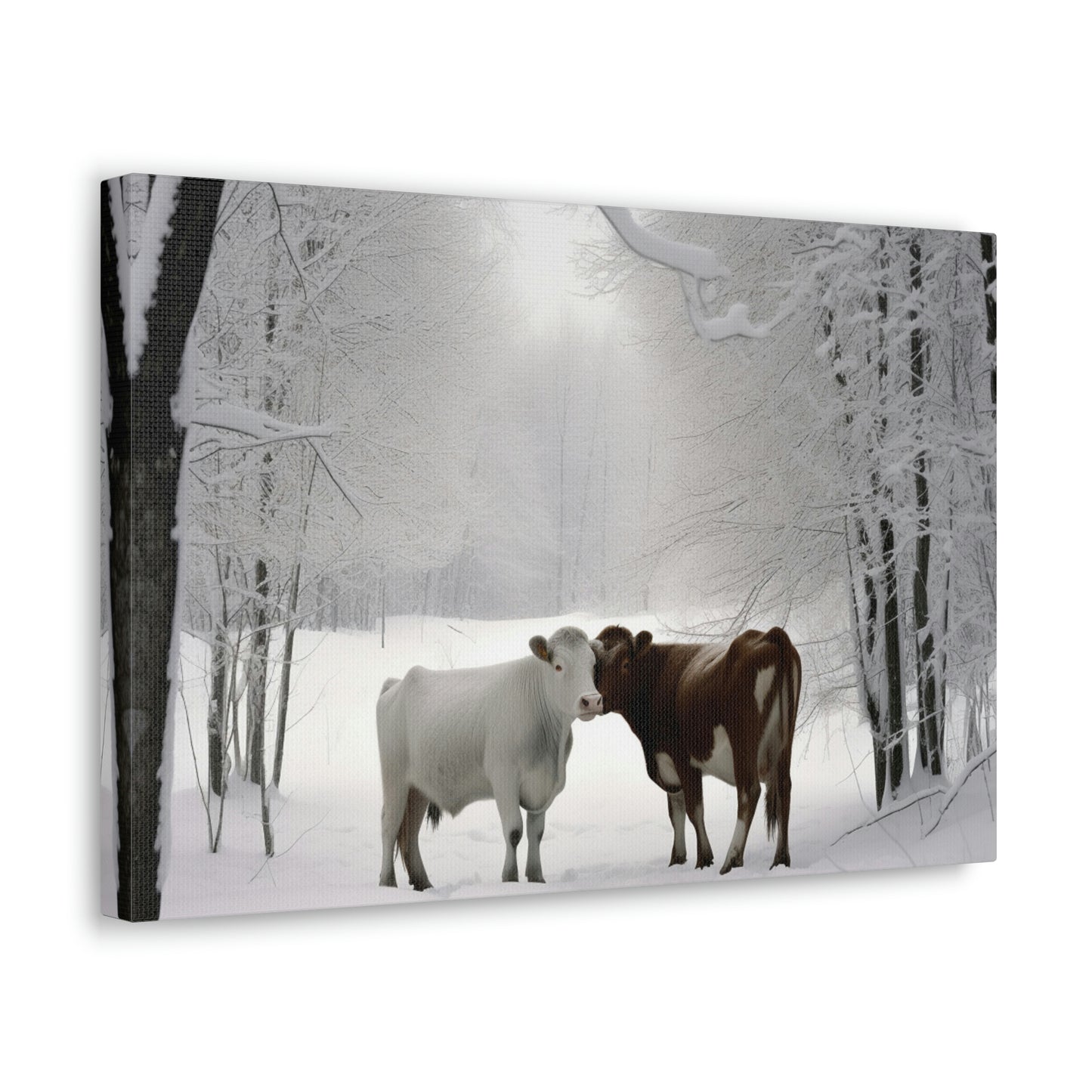 Canvas Gallery Wraps Long Haired Cow snow 4