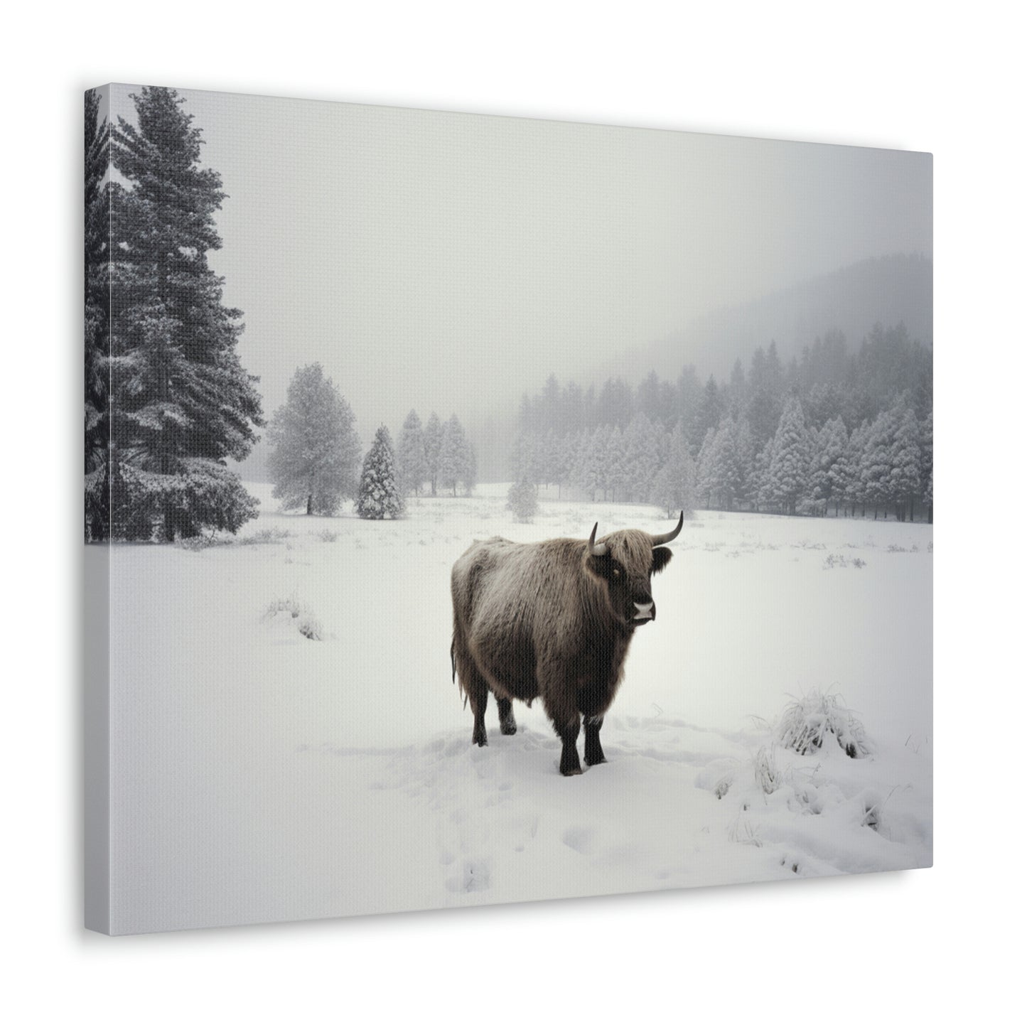 Canvas Gallery Wraps Cow Snow 4