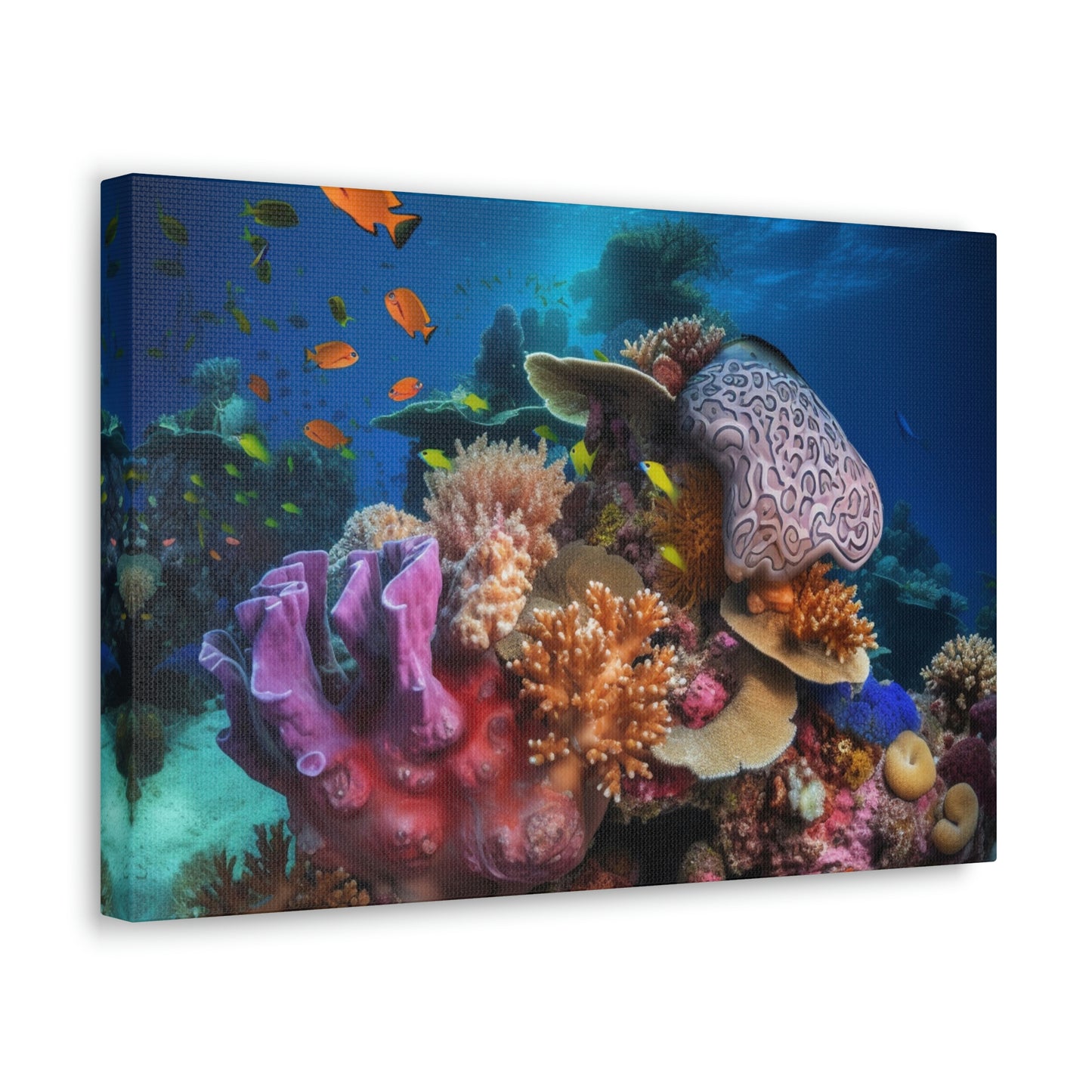 Coral Reef 2