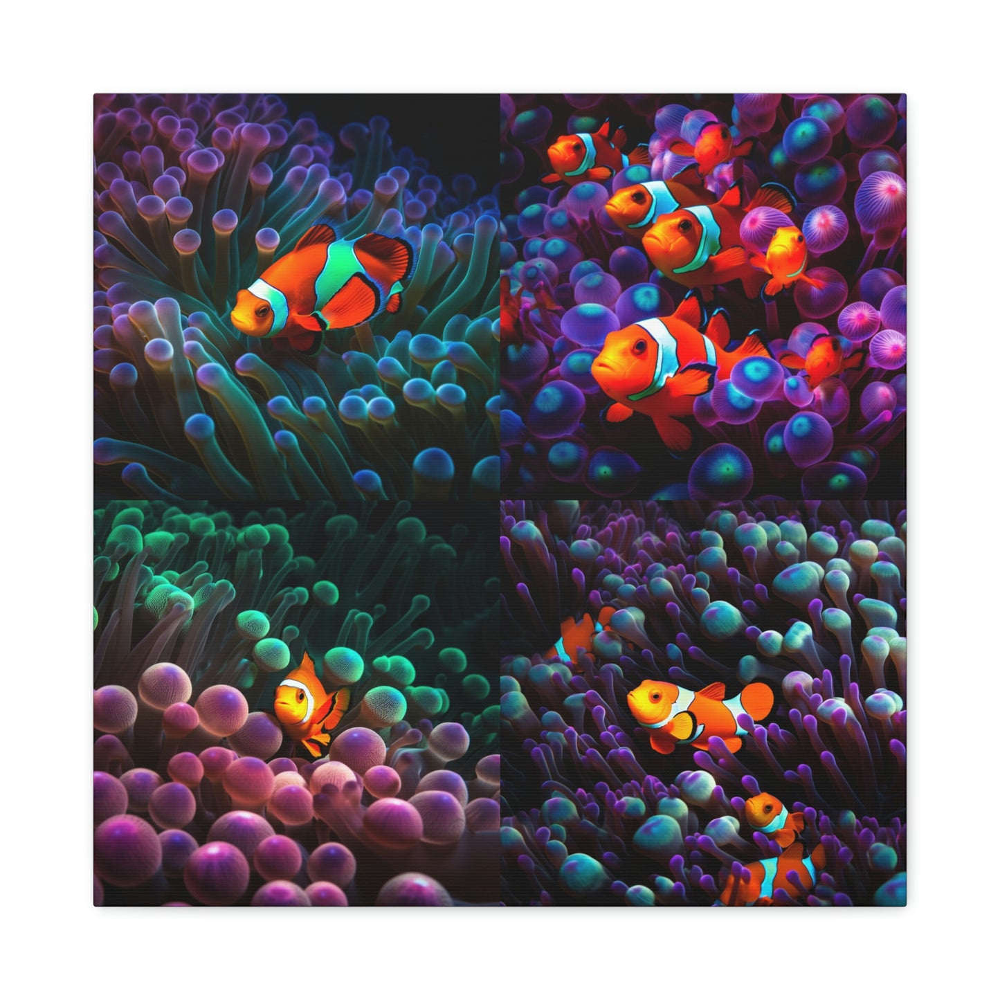 Canvas Gallery Wraps Clownfish Color 4 Pack