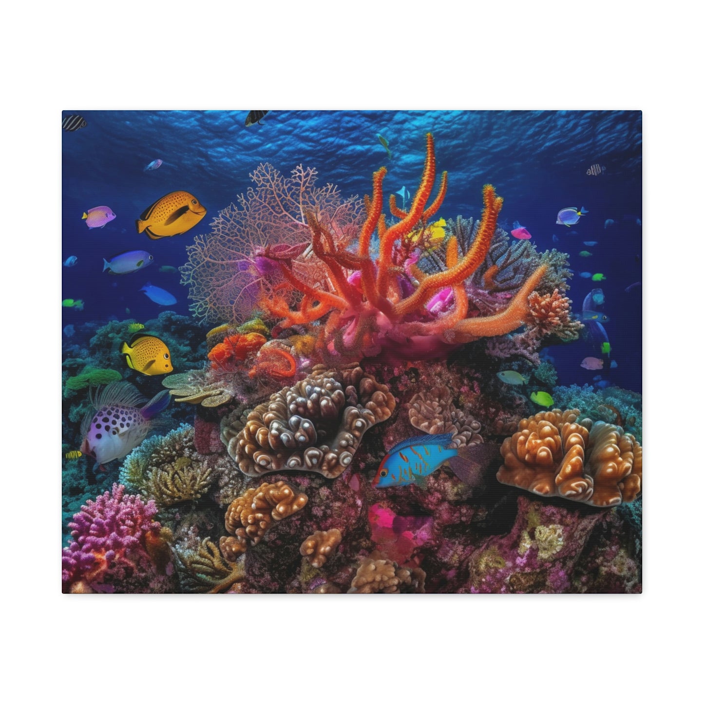 Color Coral Reef 1