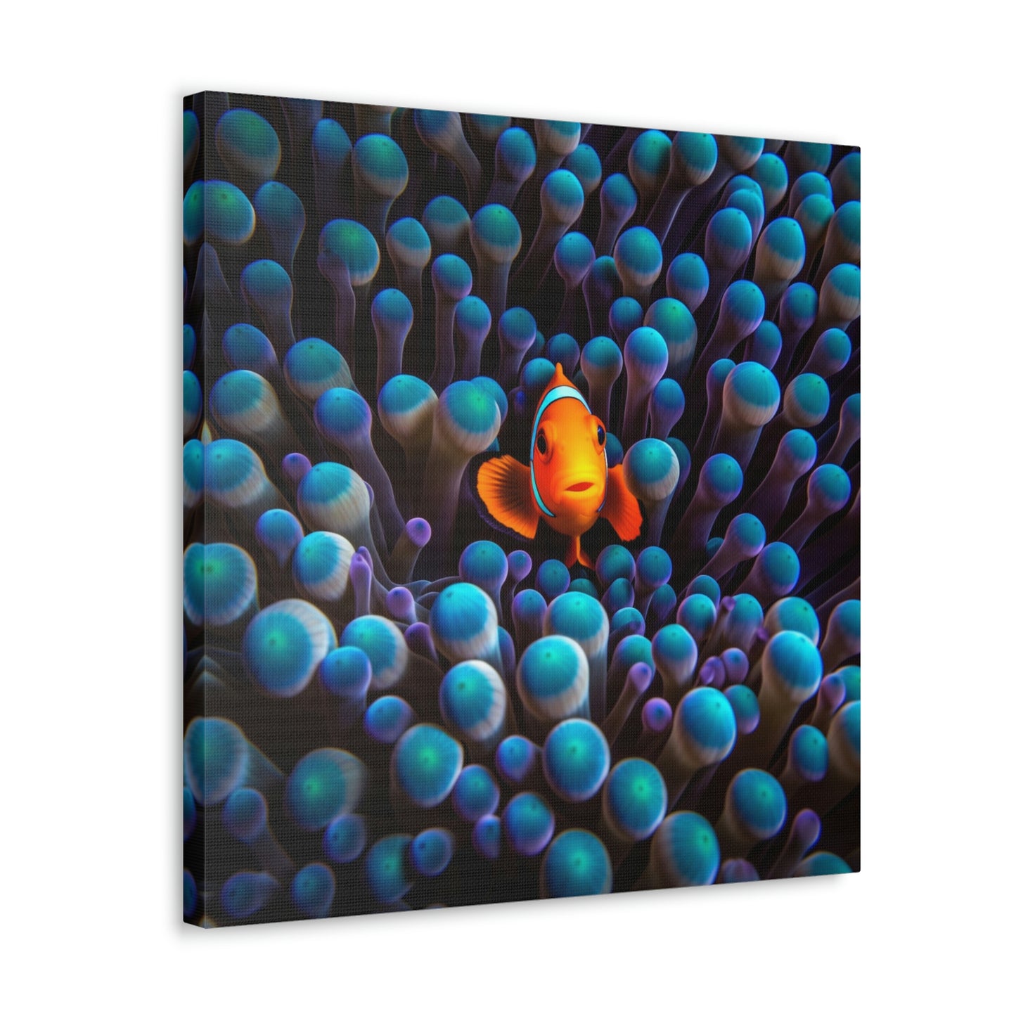 Canvas Gallery Wraps Clown Fish 1