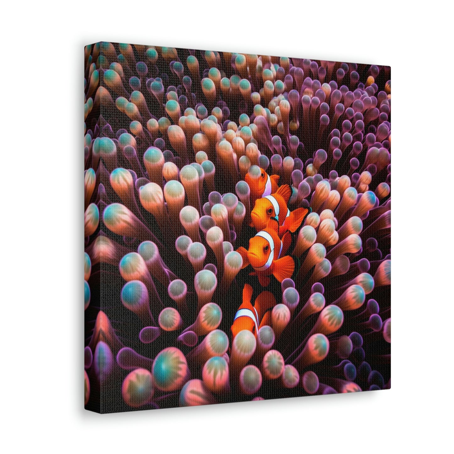 Canvas Gallery Wraps Clown Fish 3