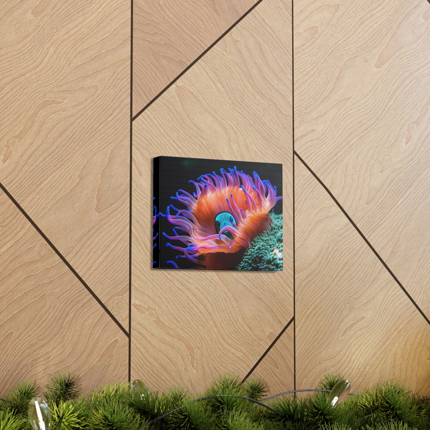 Canvas Gallery Wraps Anemone Clown 1