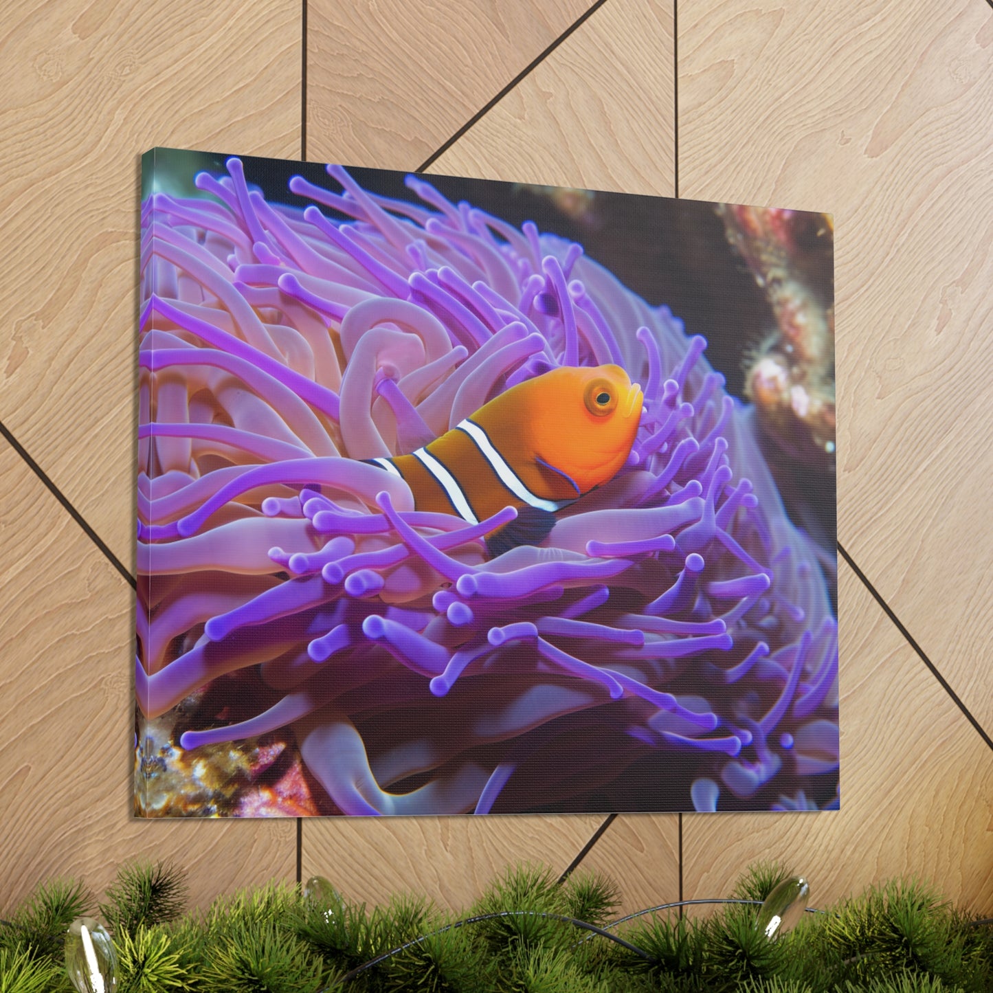 Canvas Gallery Wraps Anemone Clown 3