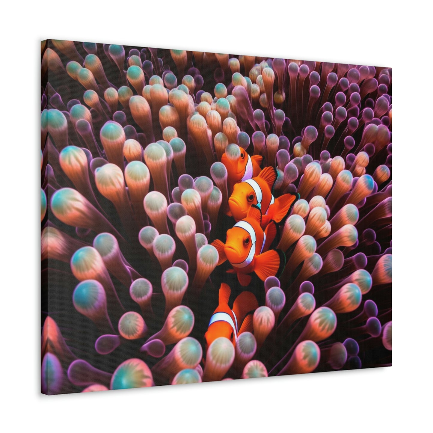 Canvas Gallery Wraps Clown Fish 3