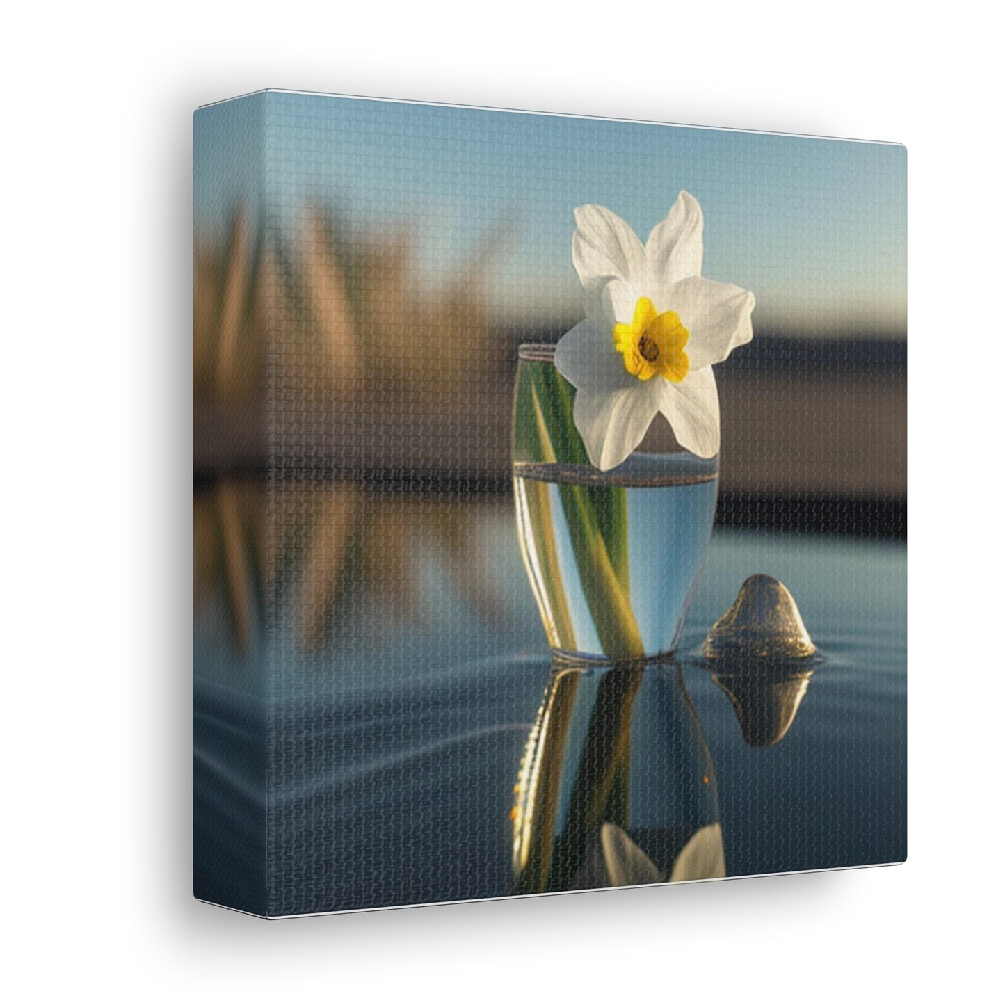 Canvas Gallery Wraps Daffodil 4