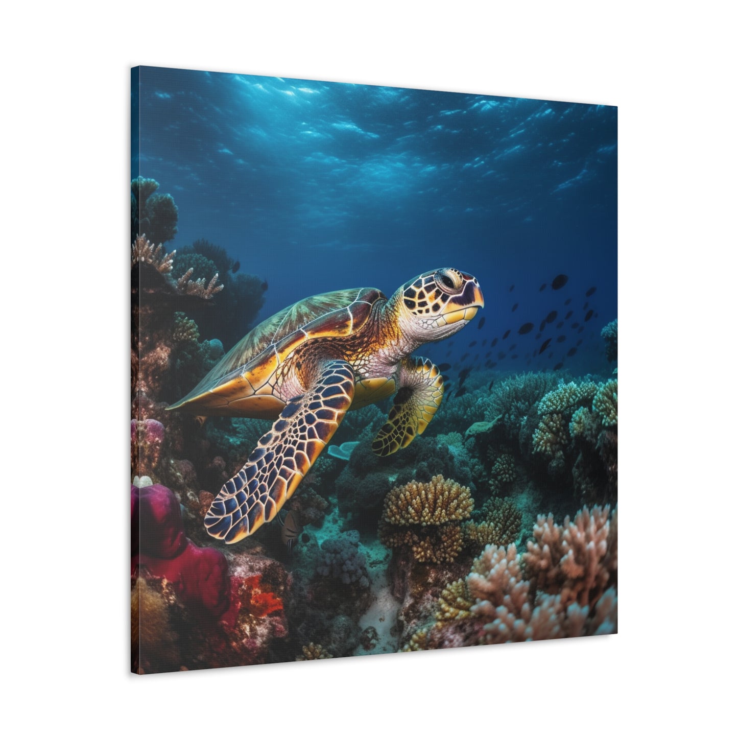 Sea Turtle Reef 1