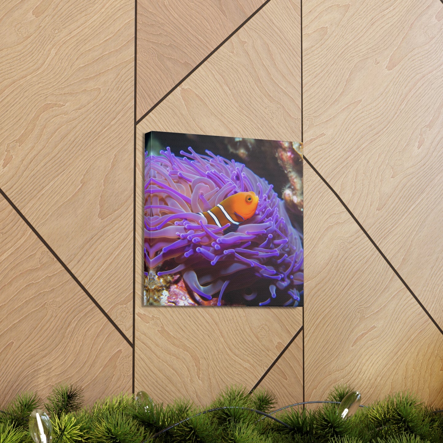 Canvas Gallery Wraps Anemone Clown 3