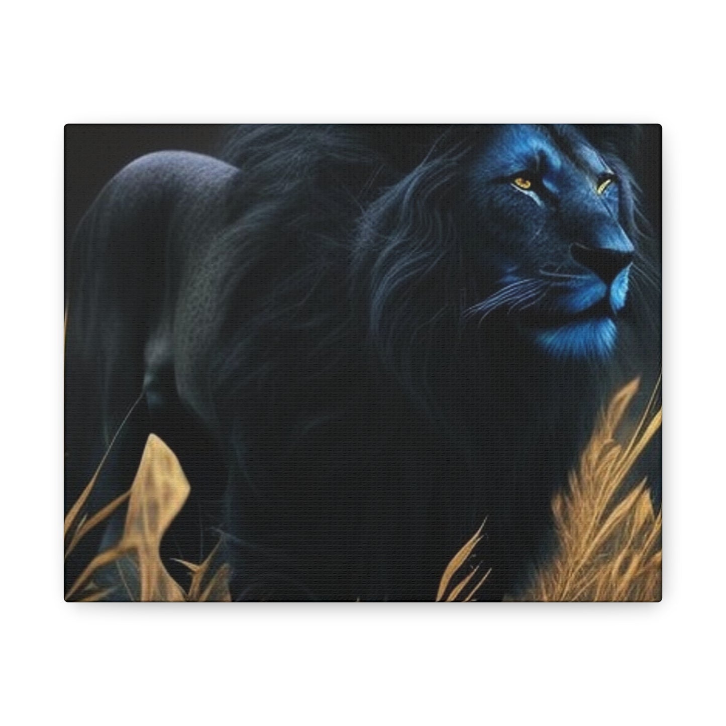 Black lion 3