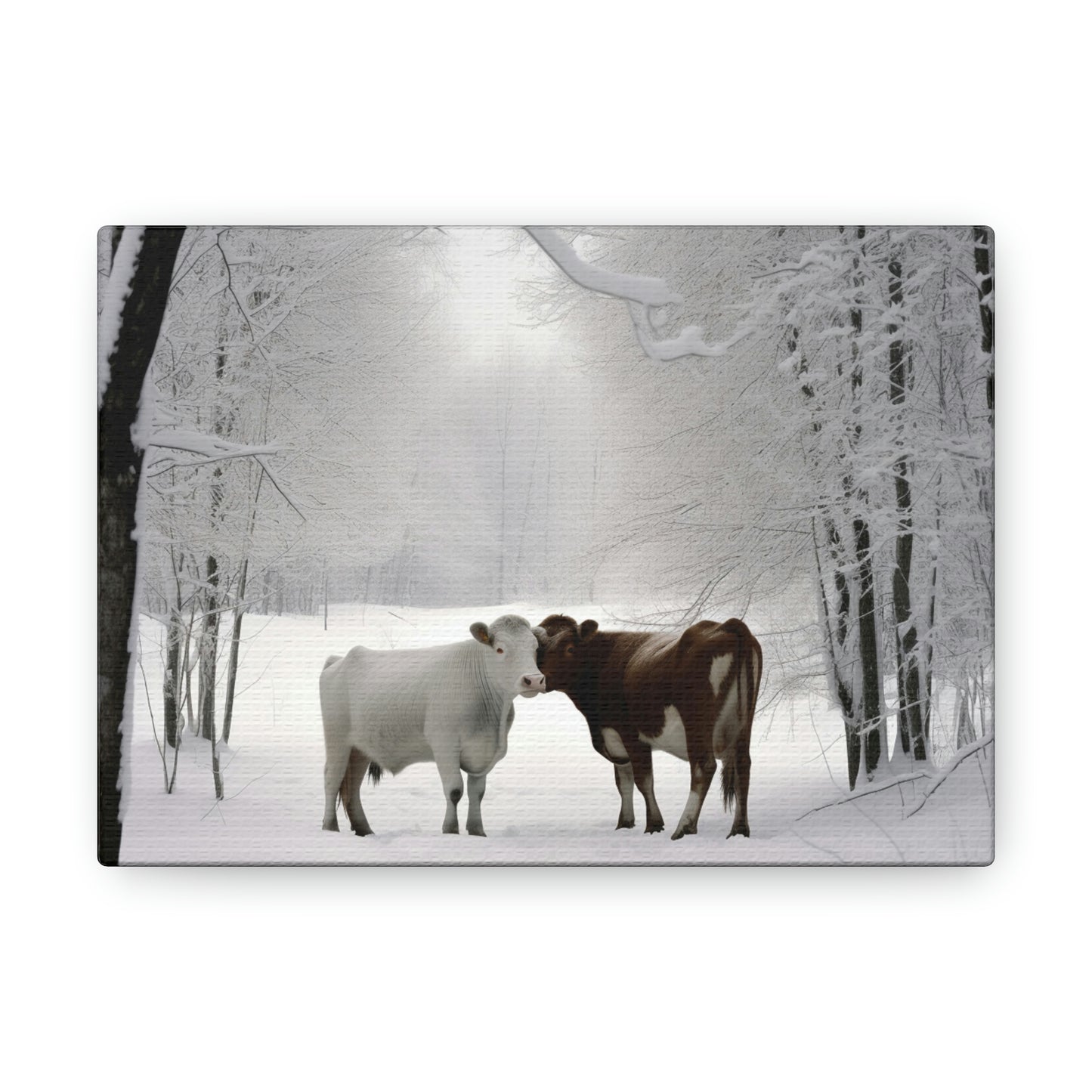 Canvas Gallery Wraps Long Haired Cow snow 4