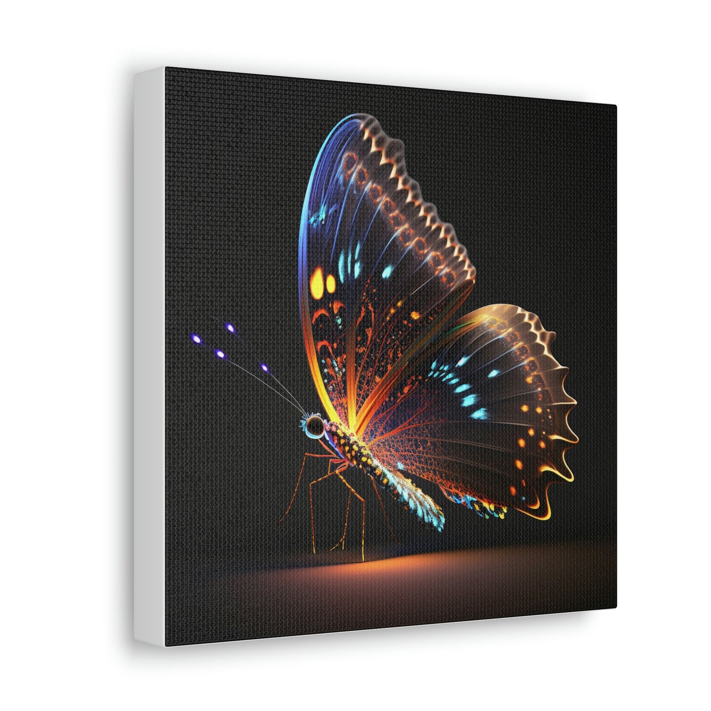 Butterfly neon