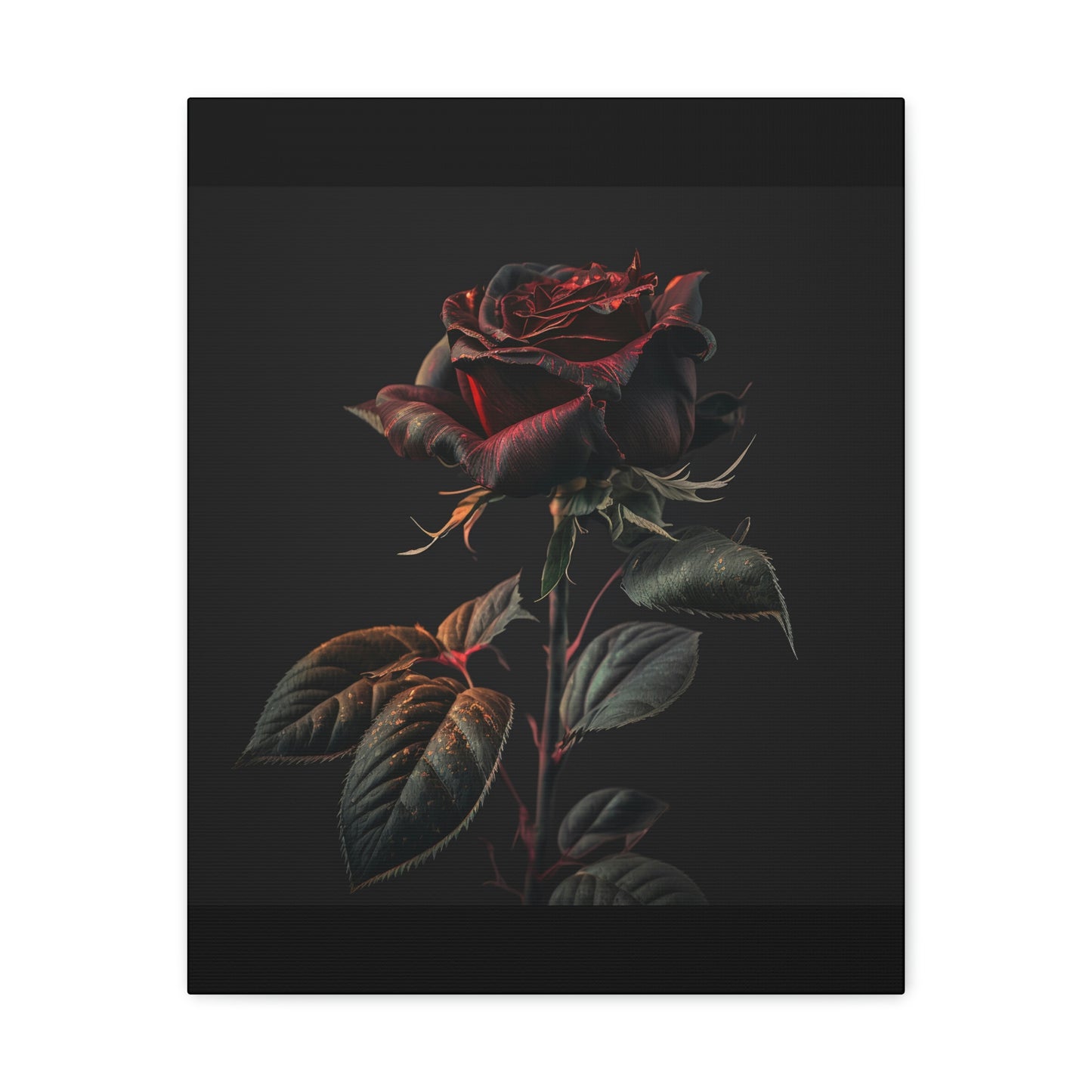 Red Rose Dark 4