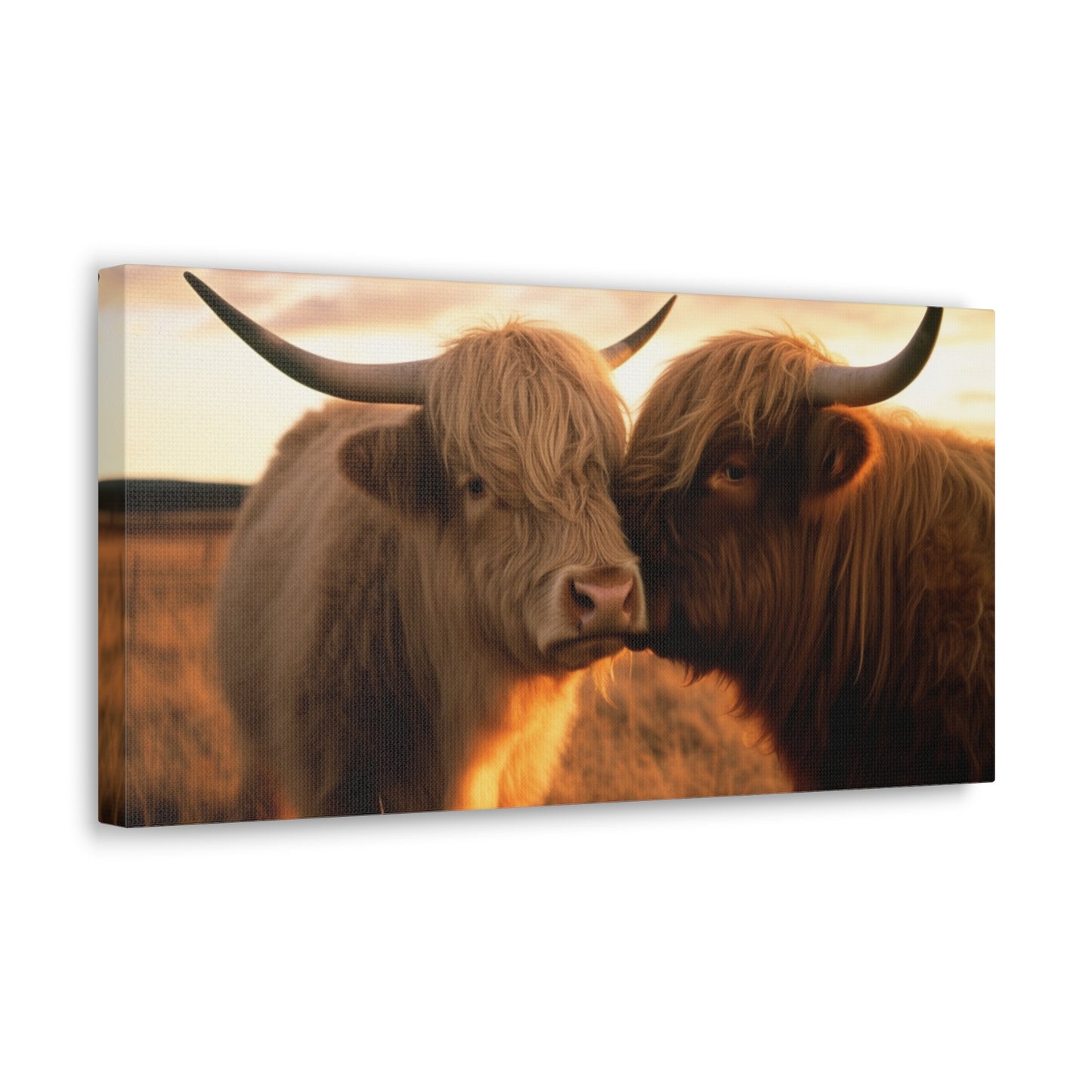 Canvas Gallery Wraps Cow Love 1