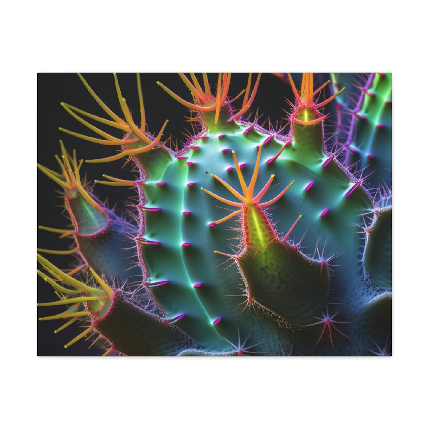 Macro Cactus 6