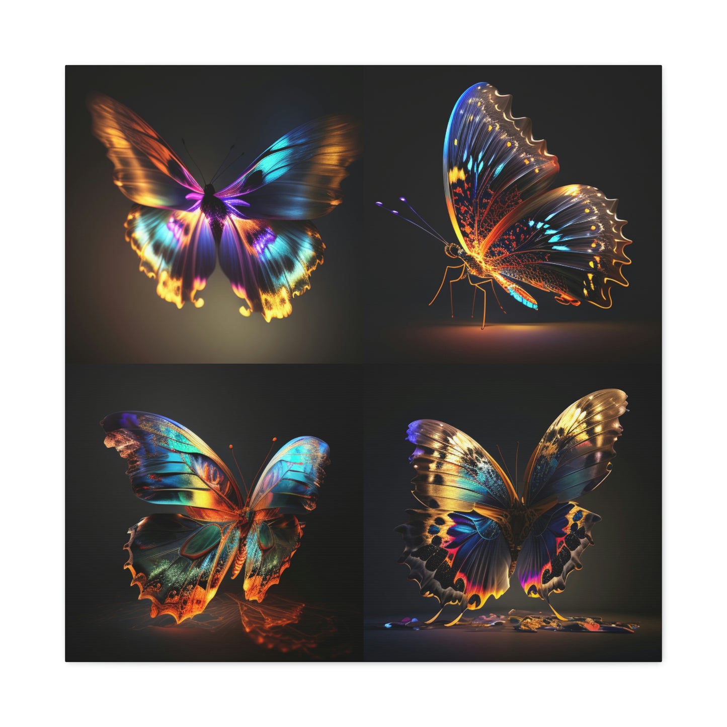 Butterfly neon florescent glow