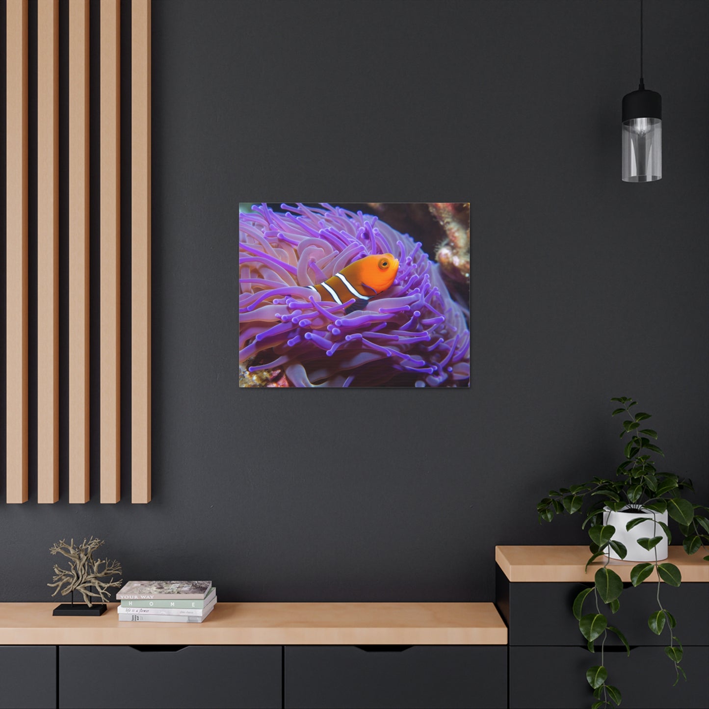 Canvas Gallery Wraps Anemone Clown 3