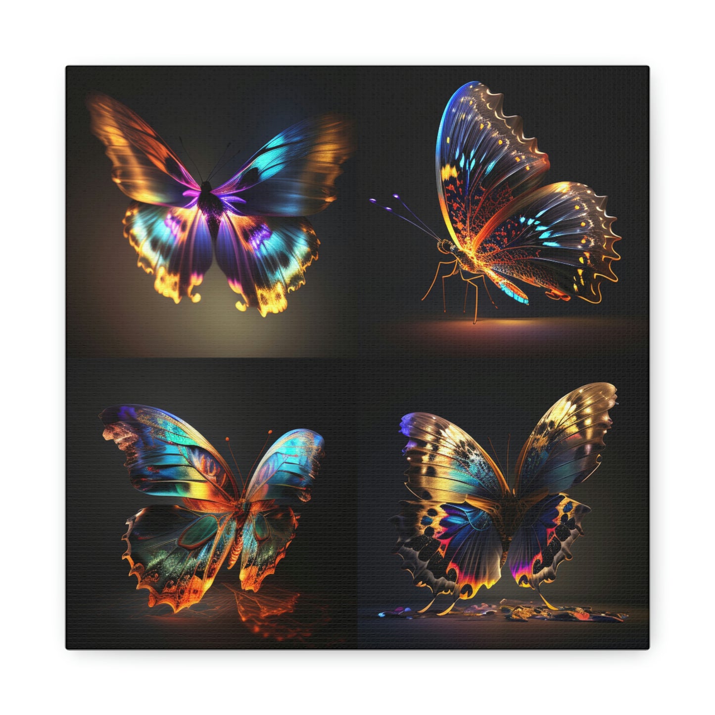 Butterfly neon florescent glow