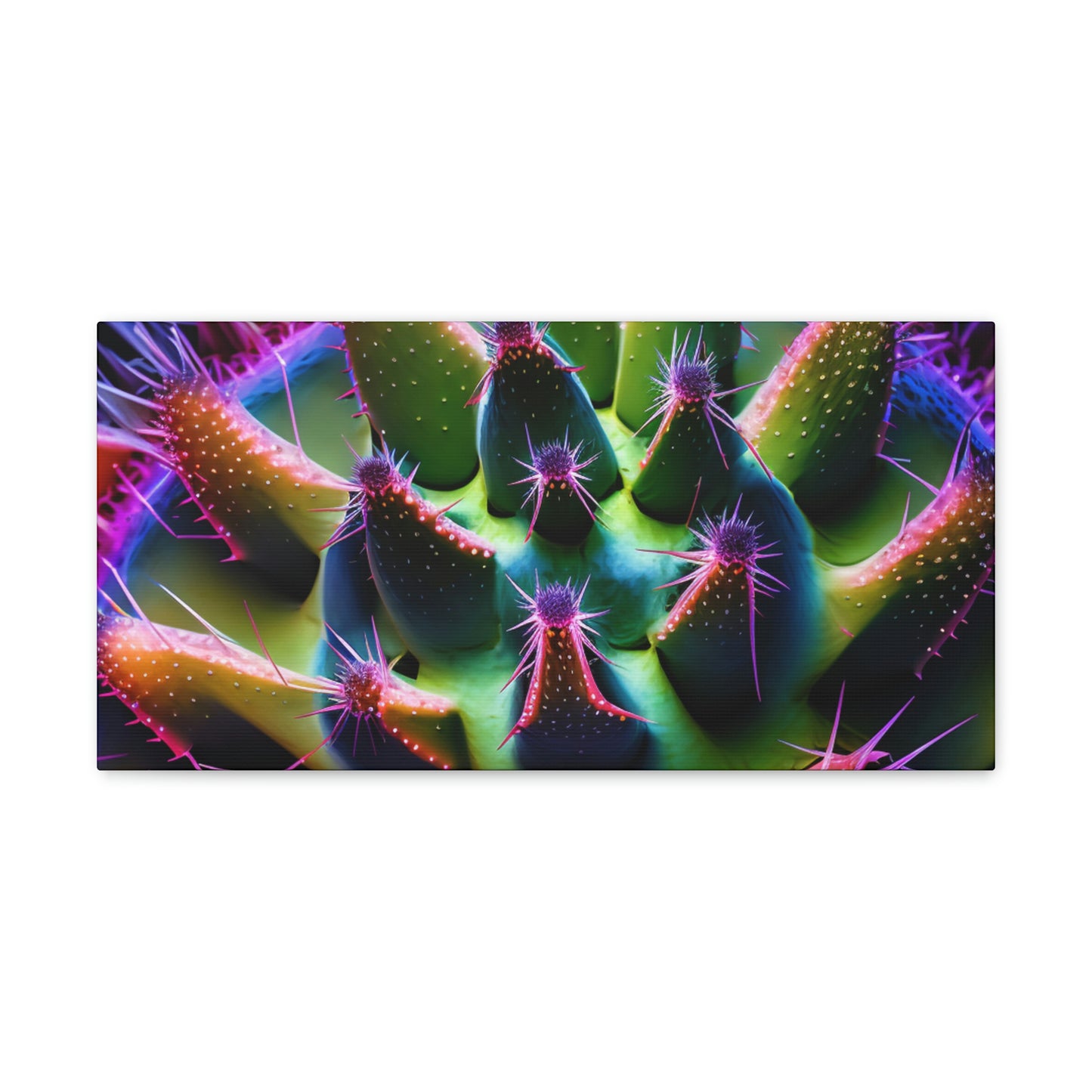 Macro Cactus 5