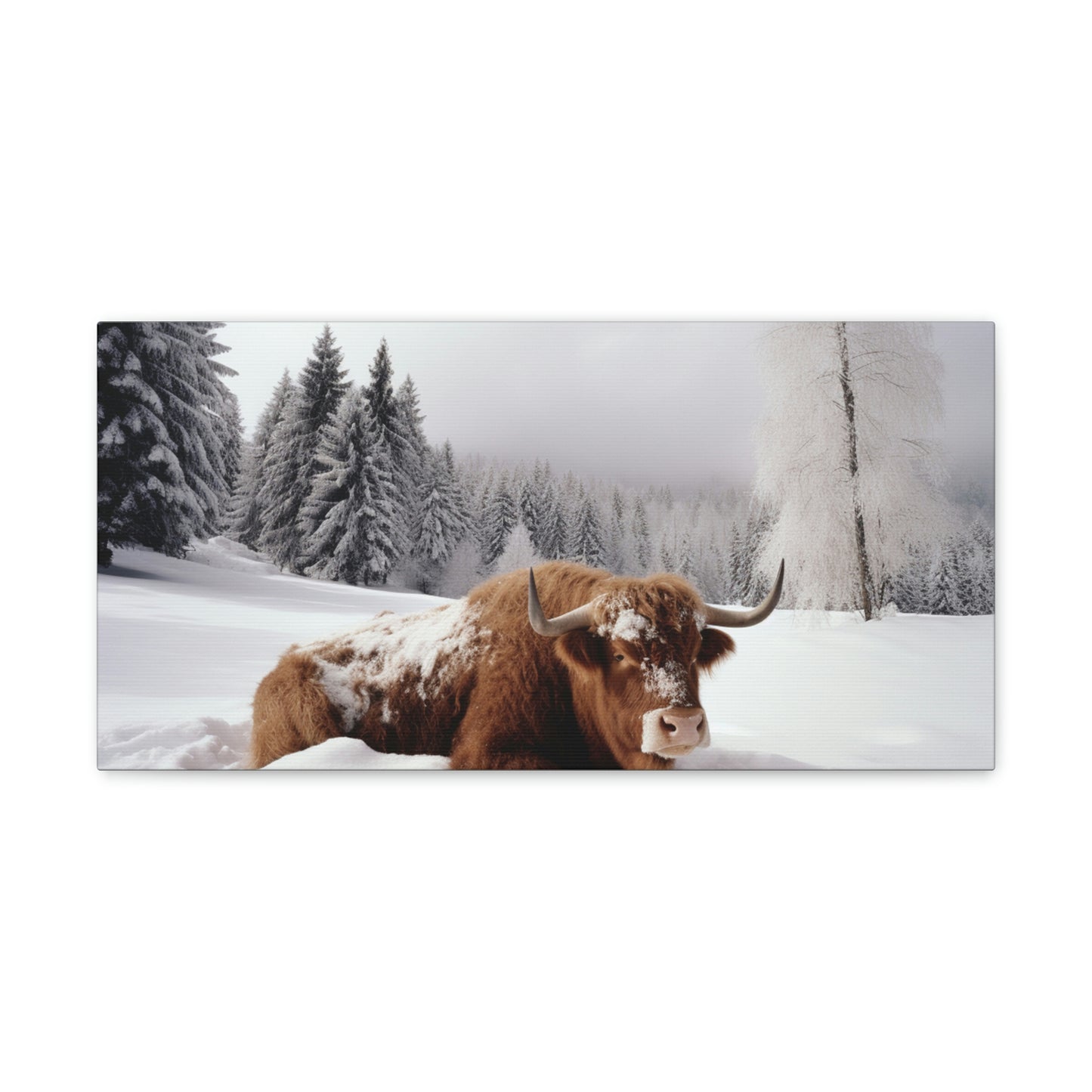 Canvas Gallery Wraps Cow Snow 2