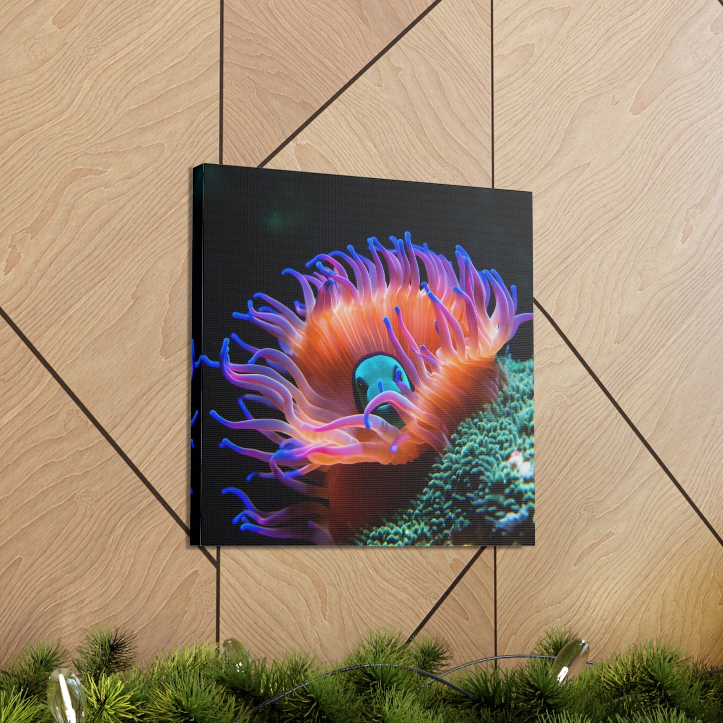 Canvas Gallery Wraps Anemone Clown 1