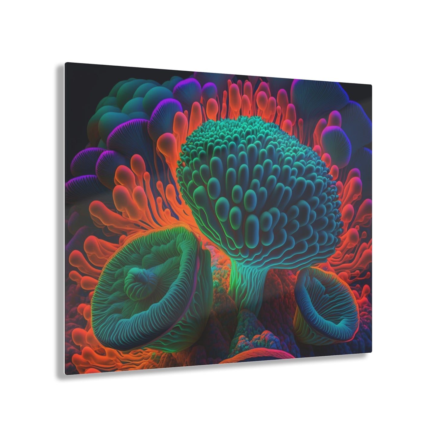 Acrylic Prints Macro Reef Florescent 3