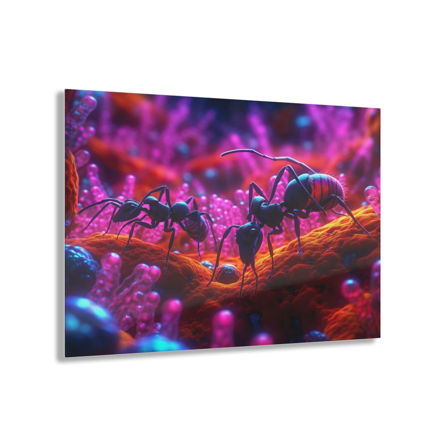 Acrylic Prints Ants Home 4