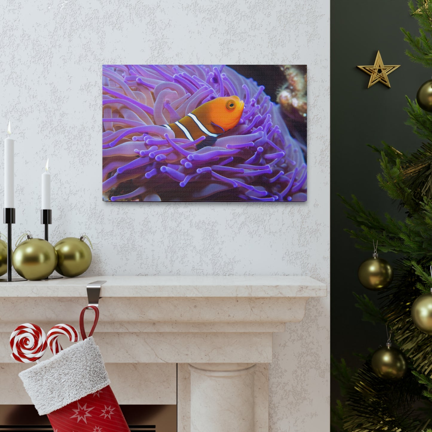 Canvas Gallery Wraps Anemone Clown 3