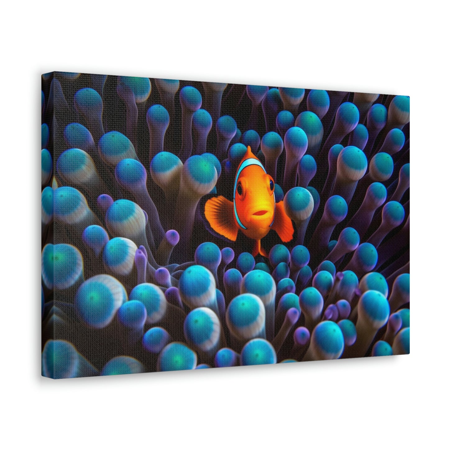 Canvas Gallery Wraps Clown Fish 1